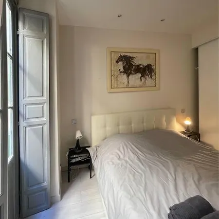 Apartment Luxury In The Heart Of Old Town Nice. *